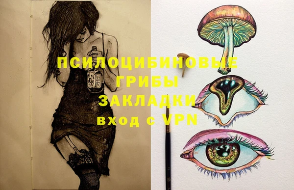 PSILOCYBIN Арсеньев