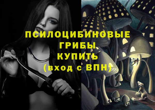 PSILOCYBIN Арсеньев